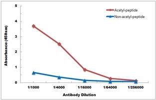 Histone H2B (Acetyl-K116) Antibody