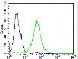 Anti-ak2 Antibody