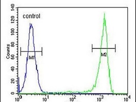 Anti-AAGAB Antibody