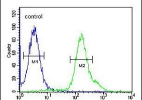 ARMC5 Rabbit Polyclonal Antibody