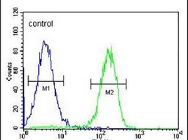 PYHIN1 Rabbit Polyclonal Antibody