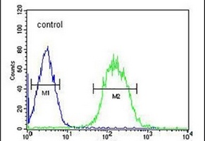 Anti-CLASRP Antibody