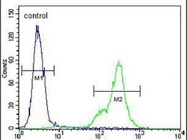 Anti-SCRN1 Antibody