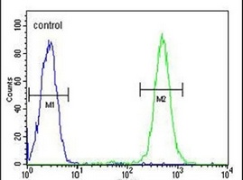 Anti-EMC10 Antibody