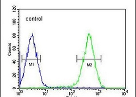 Ataxin 2L Rabbit Polyclonal Antibody