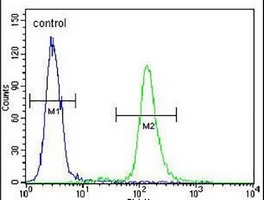 Anti-ACAP3 Antibody