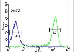 Anti-FAAH2 Antibody