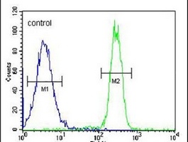 Anti-CCDC101 Antibody