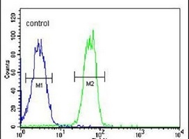 Anti-BTNL8 Antibody