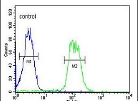 Anti-ATHL1 Antibody