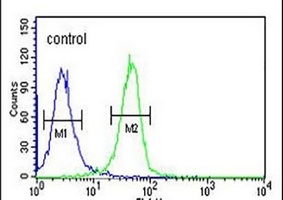 Anti-EFR3A Antibody