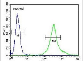 Anti-PRG1 Antibody