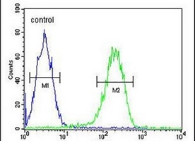 Anti-PAN3 Antibody