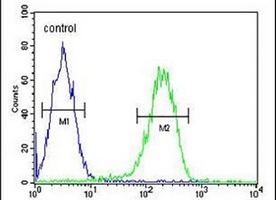 Anti-PAN3 Antibody