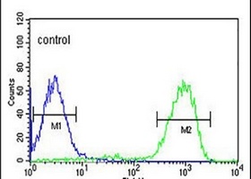 Anti-OPN1MW Antibody