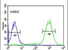 Anti-MISP Antibody