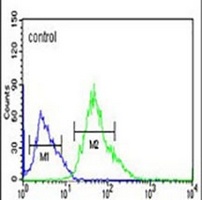 CORO6 Antibody