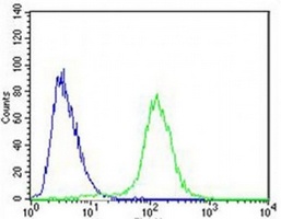 Epiregulin Rabbit Polyclonal Antibody