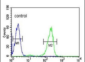 Anti-SNRPD1 Antibody