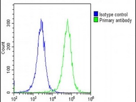 Anti-Collagen 14 alpha 1 Antibody