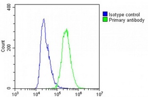 Anti-SEC24B Antibody