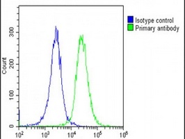 Anti-ATP1A4 Antibody