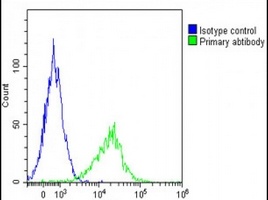 GGT3P Rabbit Polyclonal Antibody