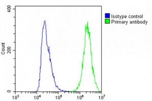 Anti-MIF4GD Antibody