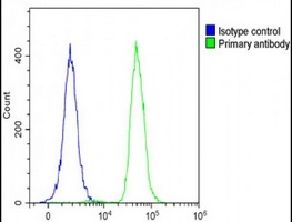 Anti-MVB12A Antibody