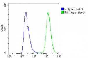 Anti-IL-23 alpha Antibody