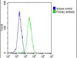 Anti-INTS3 Antibody