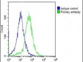 EEF1A1P5 Rabbit Polyclonal Antibody