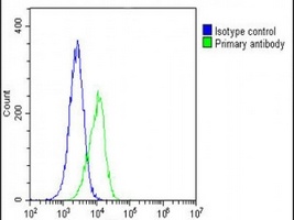 PCSK1 Rabbit Polyclonal Antibody