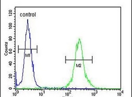 Anti-MRAP Antibody