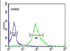 Anti-DDX49 Antibody