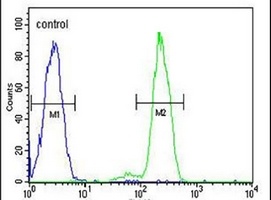 Anti-DCP1B Antibody