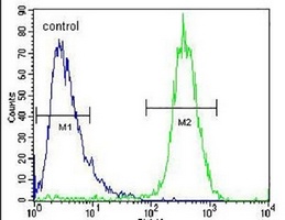 Anti-TYROBP Antibody