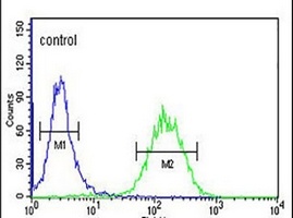 Anti-ACSBG2 Antibody