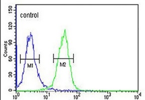 PGP Rabbit Polyclonal Antibody