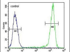 Anti-SGMS2 Antibody