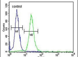 Anti-LMBR1L Antibody