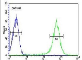 Anti-EYA4 Antibody