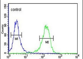TSPEAR Antibody