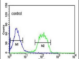 Anti-FBXO3 Antibody