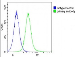 EP3 Rabbit Polyclonal Antibody