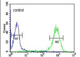 Anti-DLK2 Antibody