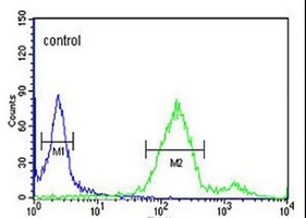 Anti-RAB8A Antibody