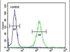 Anti-DZIP1 Antibody