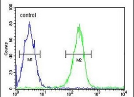 Anti-DTX1 Antibody