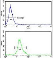 Anti-DOLK Antibody